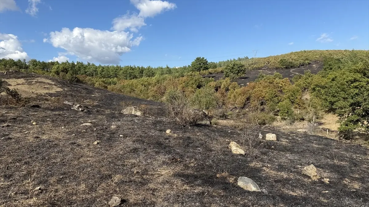 canda yangin kontrol altina alindi gTeNUUEY