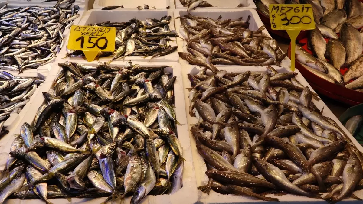 trabzonda balik bollugu satSdSHH.jpg